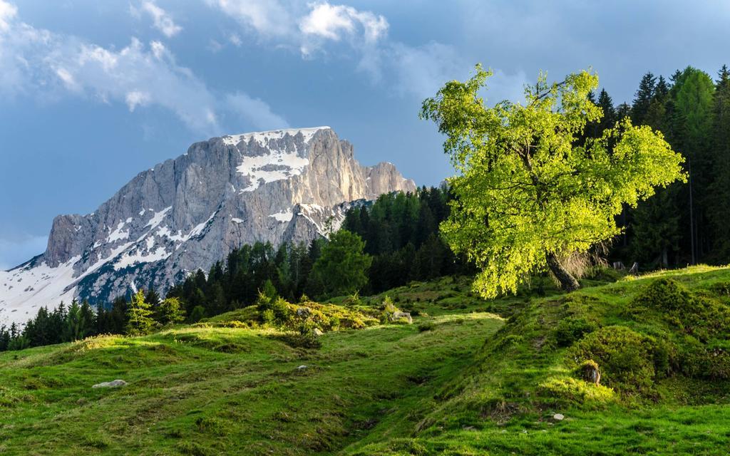 Schoenauerhof Schlanitzen Екстериор снимка