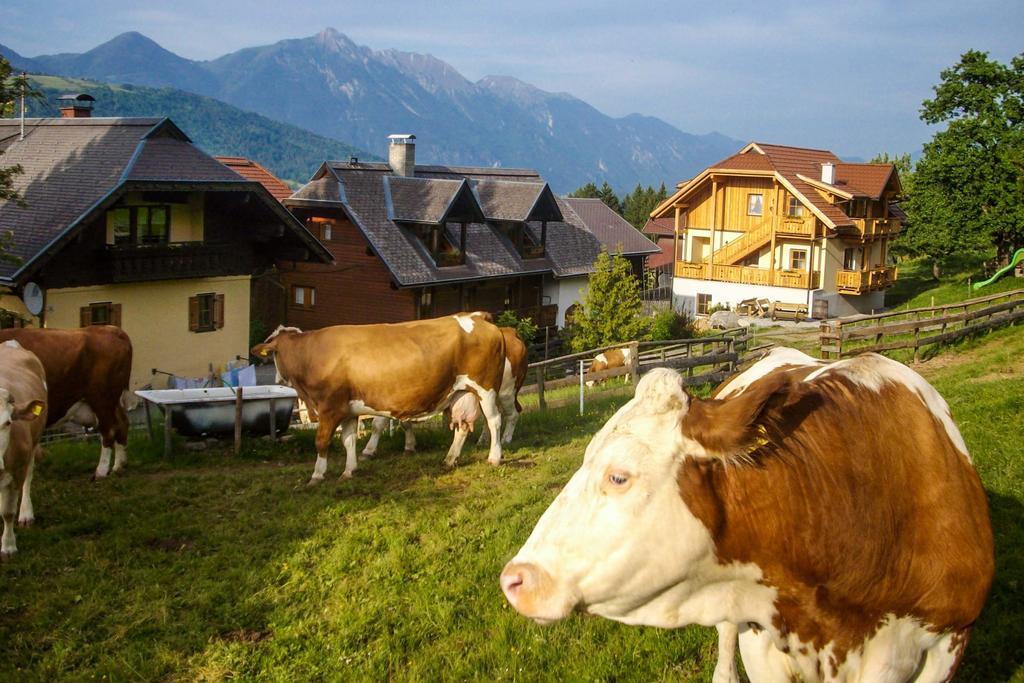 Schoenauerhof Schlanitzen Екстериор снимка